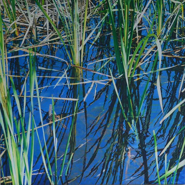 water-reeds